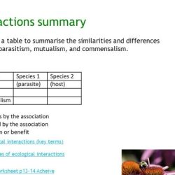 Pogil ecological relationships answer key