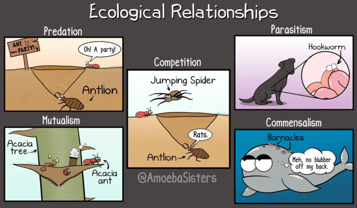 Pogil ecological relationships answer key