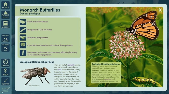 Pogil ecological relationships answer key