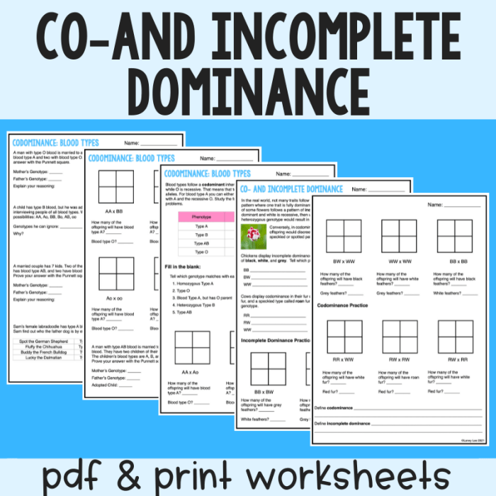 Amoeba sisters incomplete dominance worksheet answer key