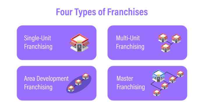 Effects of business expansion conglomerates and franchises