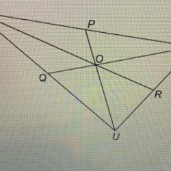 Line segment yv of rectangle yvwx measures 24 units