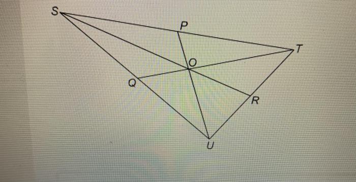 Line segment yv of rectangle yvwx measures 24 units